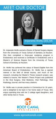 EP Root Canal Specialists