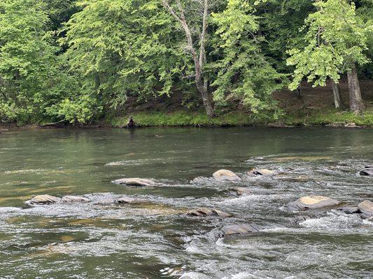 Honeycomb Cleaning Services