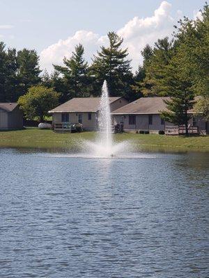 Pine Shores