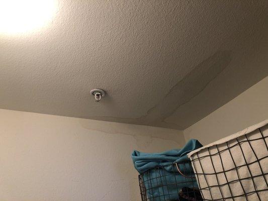 Example of the leaks we have