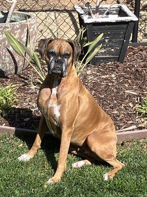 Olde Mission Chiropractic