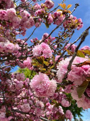 Fairway Glen Apartments by Prime Residential