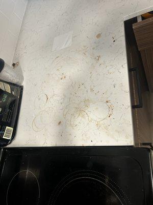 Pure Vision Cleaners