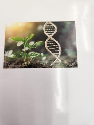 Swab It & Resolve It DNA Paternity Testing