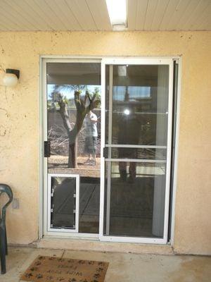 Also install In Glass pet doors