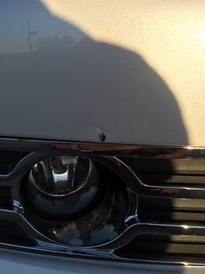 Country Club Car Wash