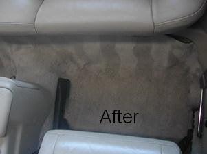 Paradise Mobile Detail