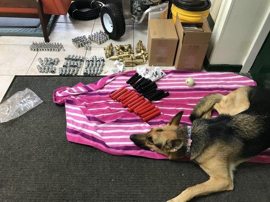 Pressure Washer Service