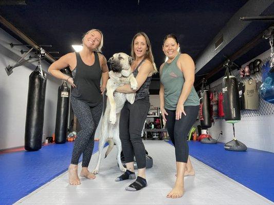 Fiore's Endorphin Factory, LLC