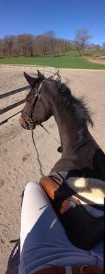 We Stanhope Stables!