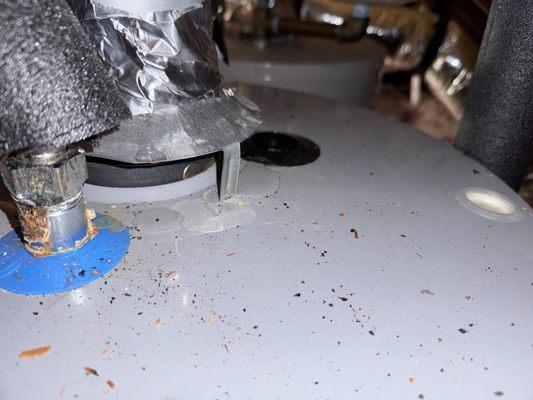 Another exhaust vent leak.