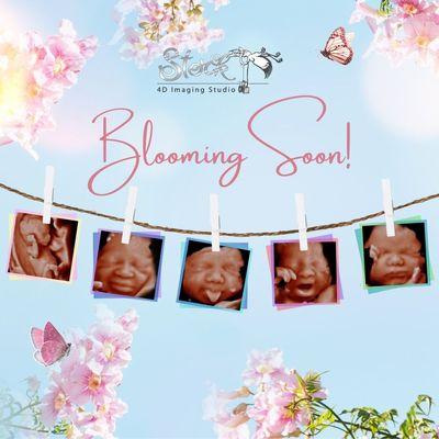 Blooming Soon!
Spring is in the air,and so is the excitement of meeting your little bundle of joy before they arive!