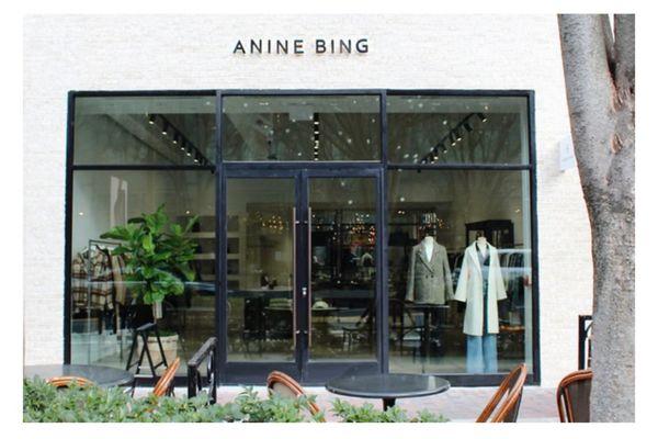 Anine Bing
