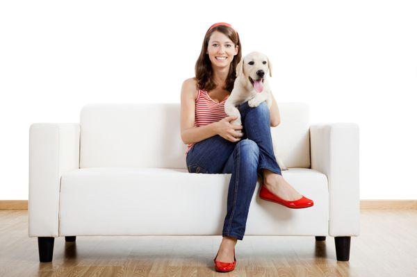 Oxi Fresh Carpet Cleaning