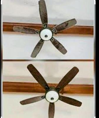 Michele Your Cleaning Lady