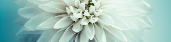 Jim Threlkel's Florist