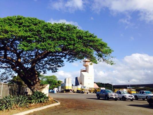 Honolulu Fire Department Station 8 Mokulele