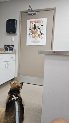 Rainbow Veterinary Hospital Inc