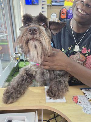 Dawg Team Apparel USA