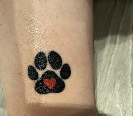 Cadillac Custom Tattoo & Piercing