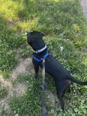 Friends Of Powers Park