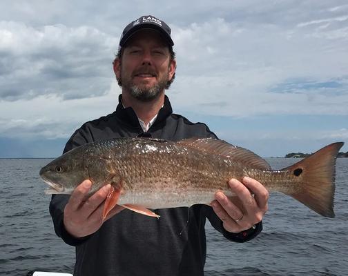 Southern Renegade Charters