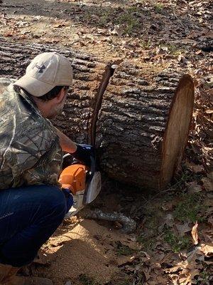 Forest Tree & Landscape Service