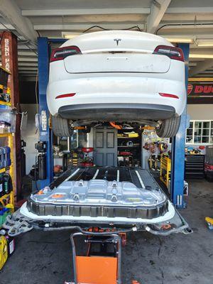 Tesla Model 3,Y repair