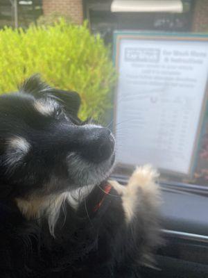 Avril's Eco Friendly Car Wash