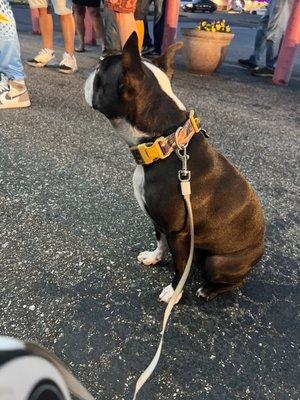 Bruster's Real Ice Cream