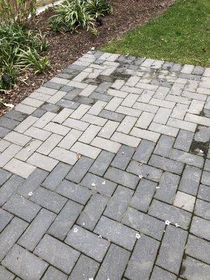 Faded pavers