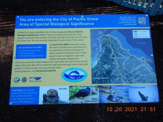 Hopkins State Marine Reserve