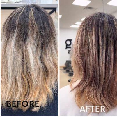 Got Hair? Color Salon