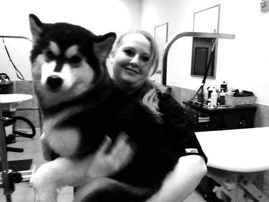 Personal Pet Grooming And Care