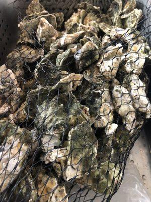 This makes me so happy!!