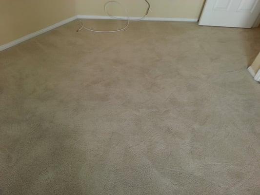 Clean Slate Carpet Cleaning