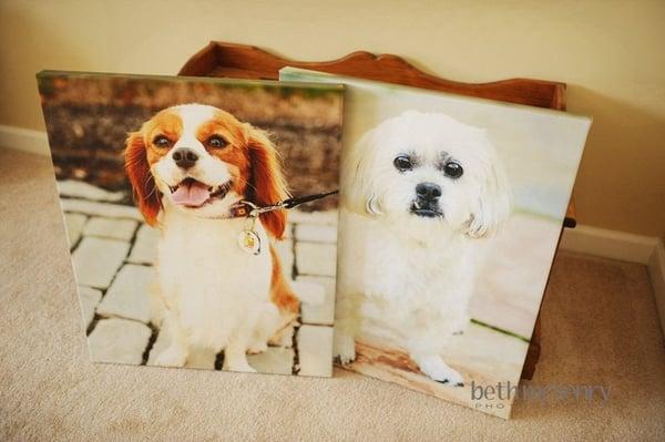 Beth McHenry Photography