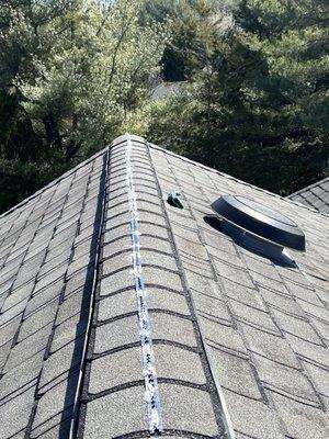 Chelsea Pest Control