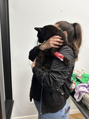 Denver Animal Hospital