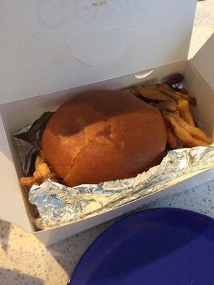 Spicy Chicken Sandwich and Fries