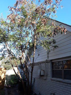 Get Strong Lawn Care & Landscaping