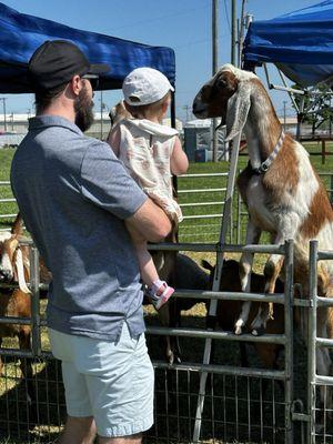 Lucas County Fairgrounds
