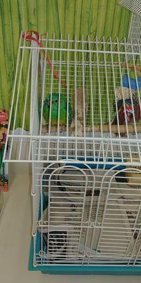 Star Academy Preschool