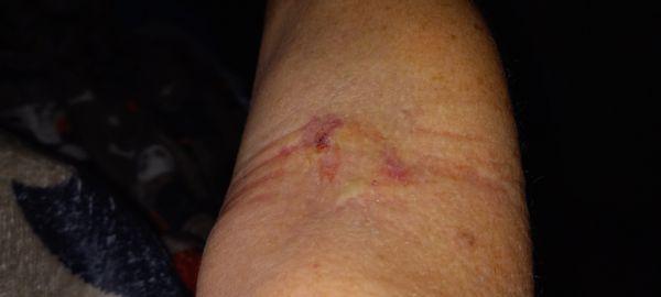 Ocala Regional Medical Center