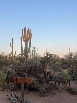 Posada by The Joshua Tree House