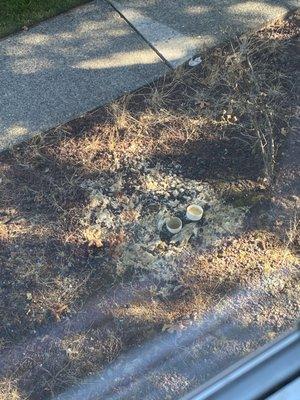 Ad-West Realty Services