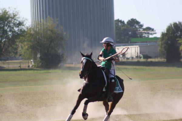 Pawfect Pet Sitting Services