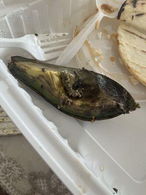 Rotten avocado. Horrible