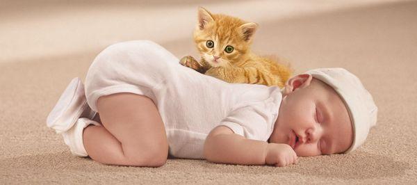 We use "green" products so that your children & pets are safe!