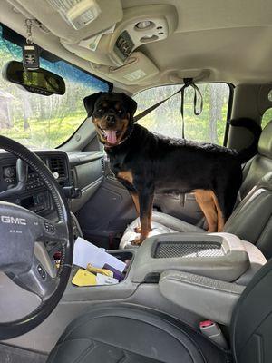 Rocky Mountain rotties